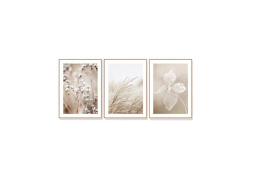 Set of 3 Dried Flowers Wall Art Canvas