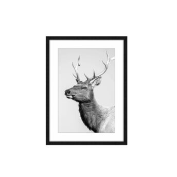 Colton Deer Framed Wall Art
