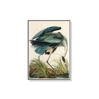 Great Blue Heron By John James Audubon Wall Art Canvas