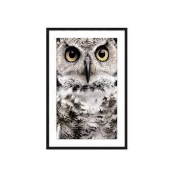 Olivia the Owl Framed Wall Art