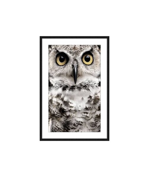 Olivia the Owl Framed Wall Art