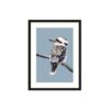 Kookaburra Bird Framed Wall Art