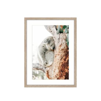 Lovely Koala Framed Wall Art