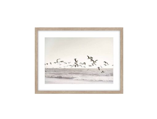 Seascape with Birds Framed Wall Art